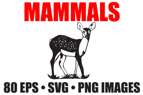 Download Mammal Animals Vector Collection - Collection Collection